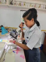 Modern English School Modern English School Gallery