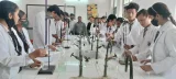 B N Public School B N Public School Gallery