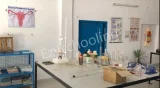 Ashirwad Public High School Ashirwad Public High School Gallery