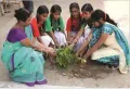 Deeksha Public School Gallery