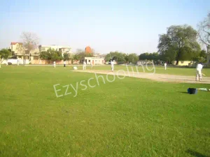 Mahadev Desai Public School Gallery