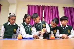 Delhi Public School HRIT Campus Gallery