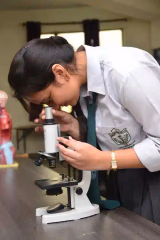 Delhi Public School HRIT Campus Gallery