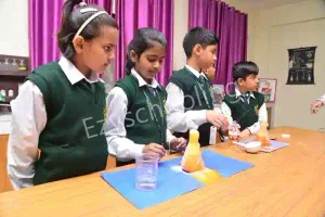 Delhi Public School HRIT Campus Gallery