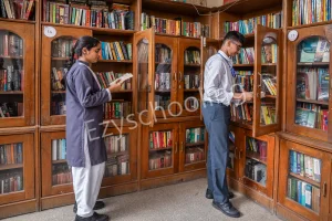 Somerville School Gallery