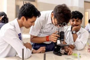 Somerville School Gallery