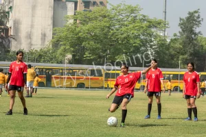 Somerville School Gallery