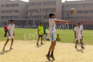 Somerville School Gallery