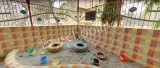 ASN International School ASN International School Gallery