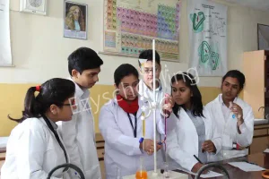 Amity International School Gallery