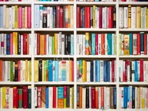 Bharti Public School Gallery