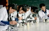 Vidya Bal Bhawan Sr Sec School Vidya Bal Bhawan Sr Sec School Gallery