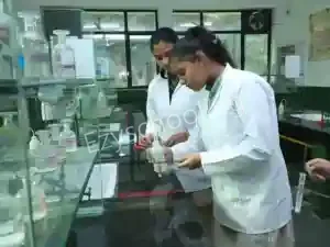 SNEH International School Gallery