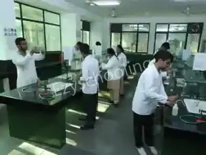 SNEH International School Gallery