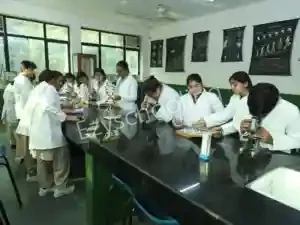 SNEH International School Gallery