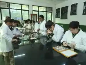 SNEH International School Gallery