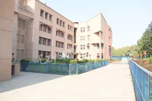 St. Mary's Senior Secondary School Gallery