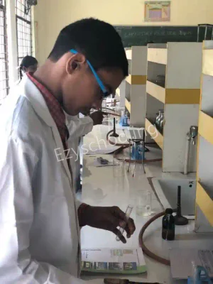 Cosmos Public School Gallery