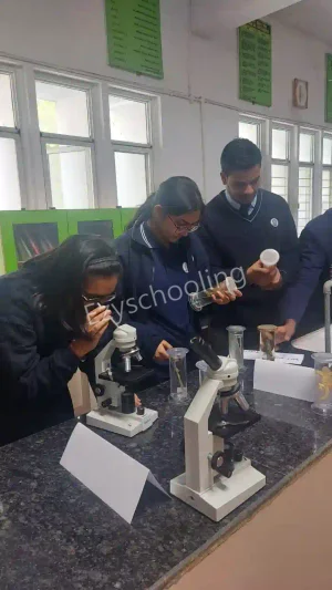 Navy Childrens School Gallery