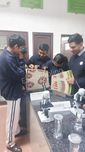 Navy Childrens School Gallery