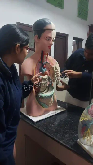 Navy Childrens School Gallery