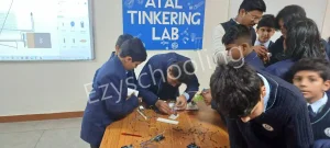 Navy Childrens School Gallery