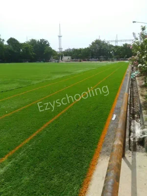 BGS International Public School Gallery