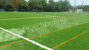 BGS International Public School Gallery