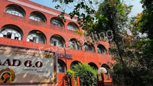 Tagore International School Gallery