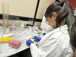 Tagore International School Gallery