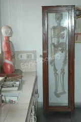 Delhi Public School Gallery