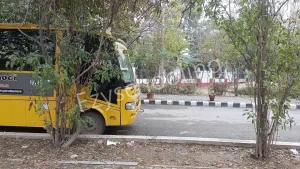 Queen’s Valley School Gallery