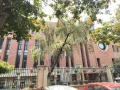 St. Paul's School Gallery