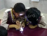 DAV Public School DAV Public School Gallery