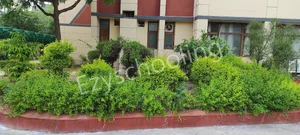 Lalit Mahajan SVM Senior Secondary School Gallery