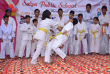 Satya Public School Gallery