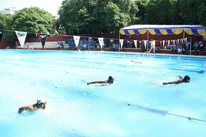 Modern School Gallery