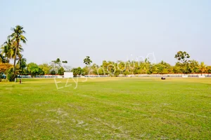 Asian International School Gallery