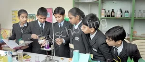 North-Ex Public School Gallery