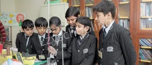 North-Ex Public School Gallery