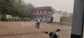 Aurobindo Public School Gallery