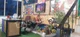 Amar Jeevan Public School, Krishna Nagar, Delhi School BuildingImage 3