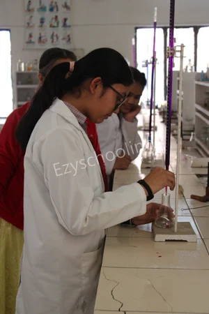 Mahashay Chuni Lal Saraswati Bal Mandir Sr Sec School Gallery