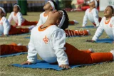 De Indian Public School De Indian Public School Gallery