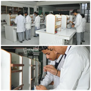 The Cambridge International School Gallery