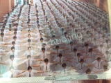 Maharaja Aggarsain Adarsh Public School Maharaja Aggarsain Adarsh Public School Gallery