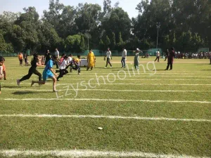 North-Ex Public School Gallery