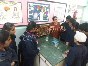 The Pinnacle School Gallery