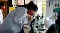 Rabindranath World School Gallery