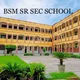 B.S.M. Public School, Nangloi, Delhi School BuildingImage 2